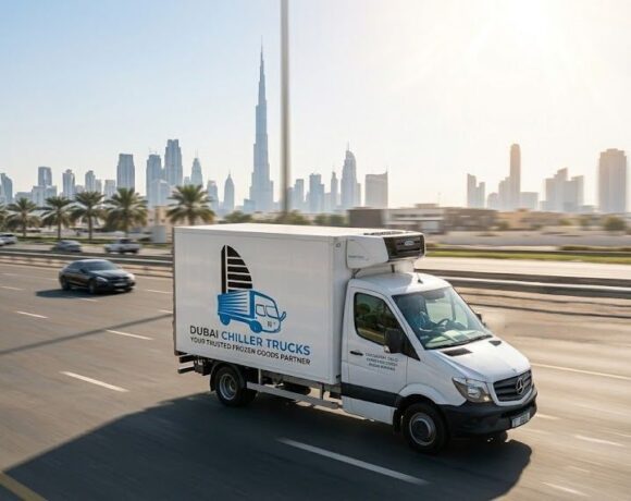 Freezer Van Service Areas — Dubai and All UAE Emirates