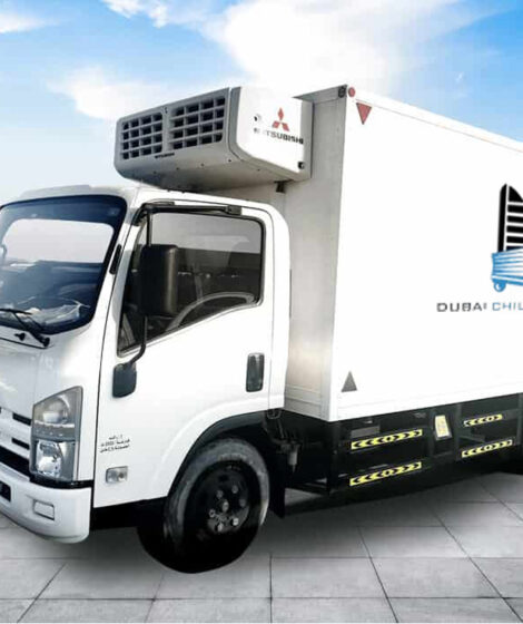 frozen food transport